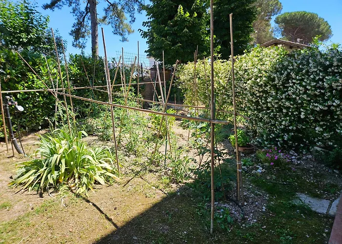 La Casa di Bach