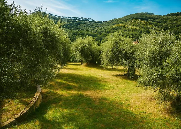 Casa Mia -Per Sentirti a Casa Tua - Giardino, Parcheggio e Jacuzzi